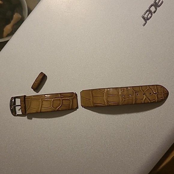 Philip Stein Watch Band - Picture 1 of 4